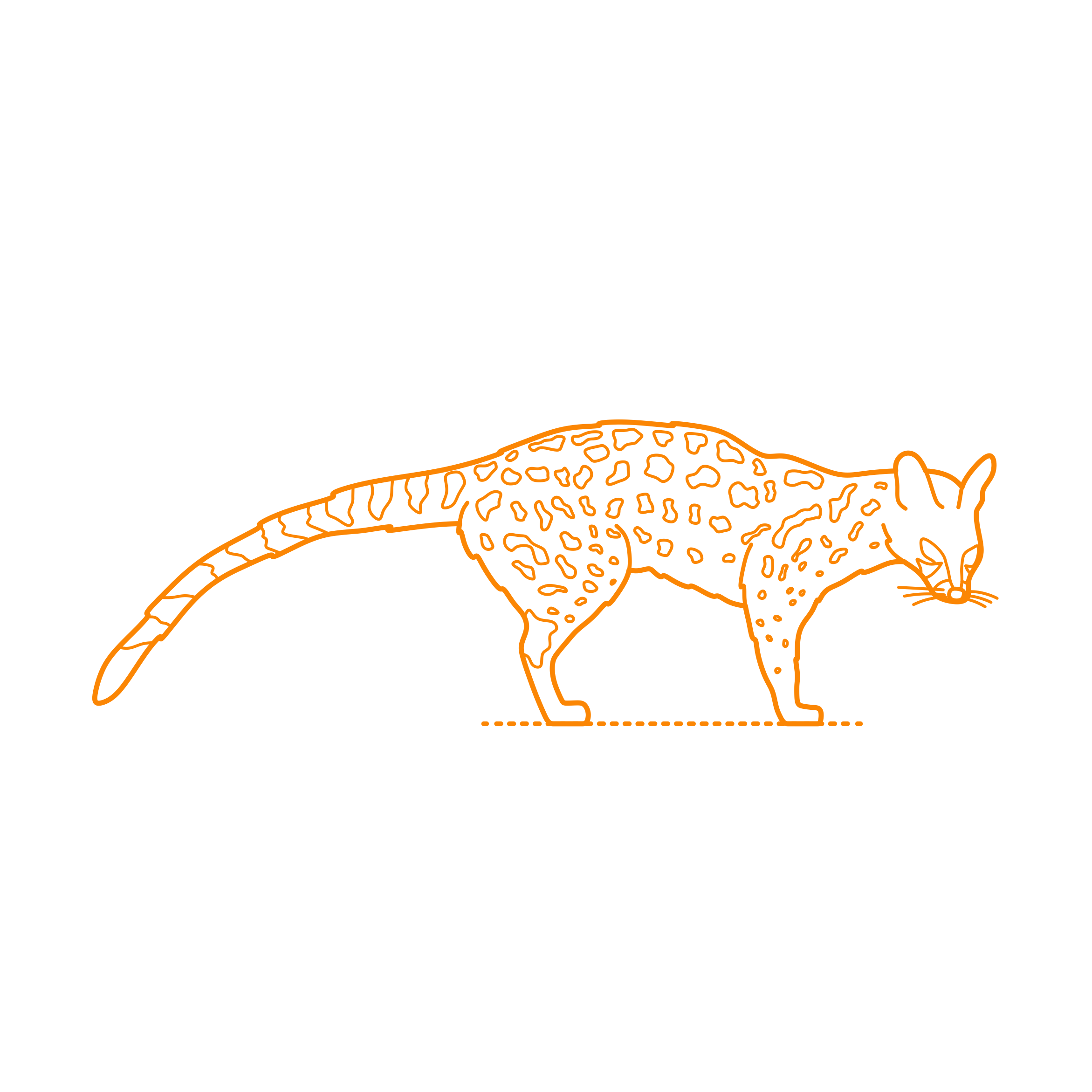 Animals Viverrids Common Genet Sketch Style Svg Vector Free Vectors
